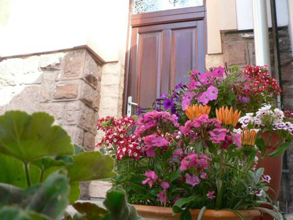 Penzion Oliver Žacléř Exterior foto